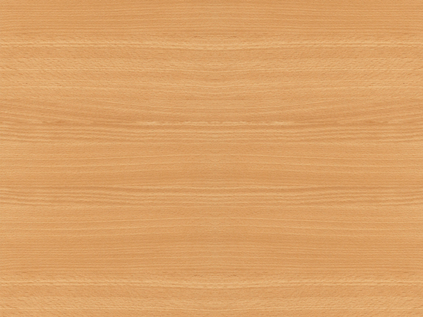 Standarddekor Buche Natur R 24010